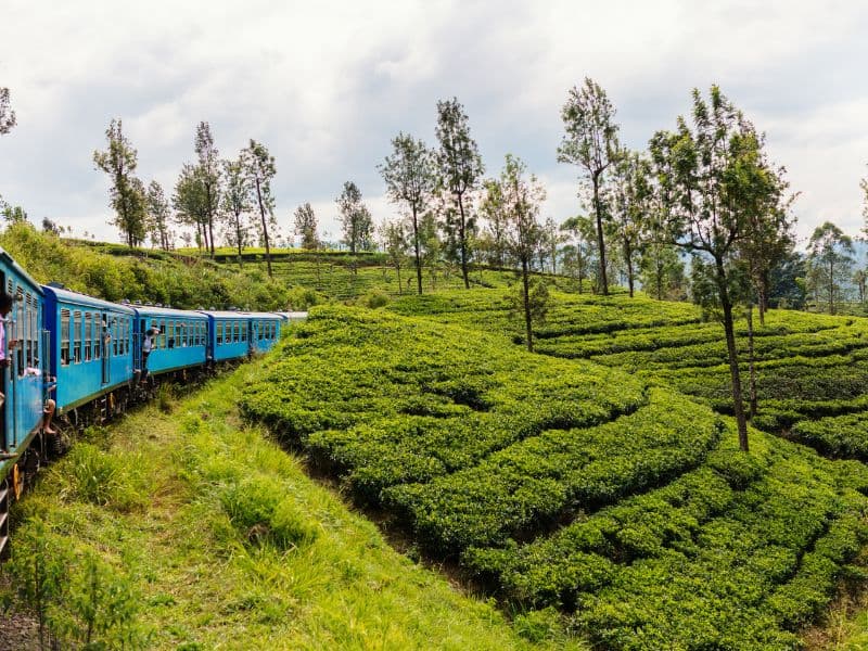 Viaggio in Sri Lanka
