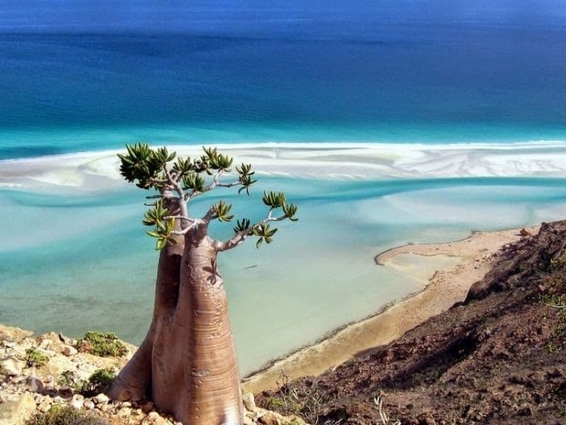 Viaggio a socotra