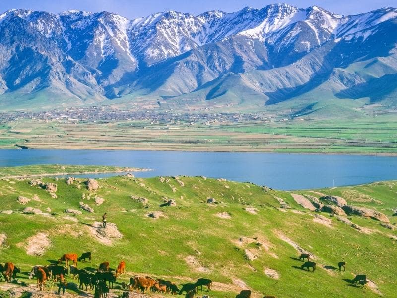 Viaggio in Uzbekistan